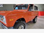 Thumbnail Photo 12 for 1976 Ford Bronco